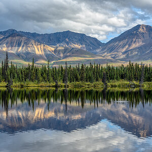 Denali Highway Spiegelung.jpg