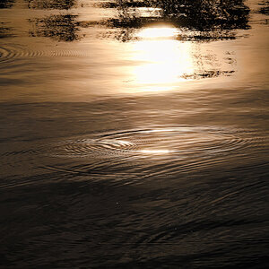 DSC_5330.jpg