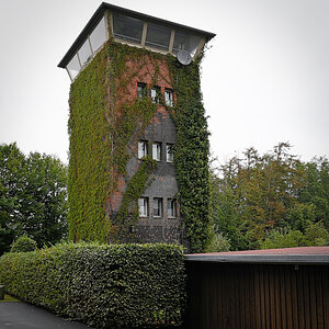DSC_5482.jpg