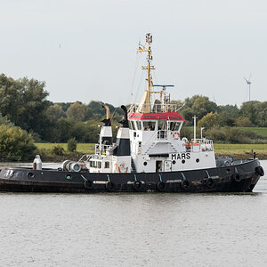 Dilbar-005.jpg