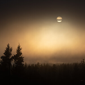 Z9A_5788.jpg