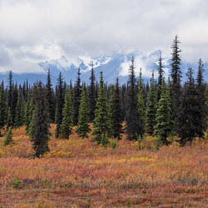 retouched 6451-6452.jpg