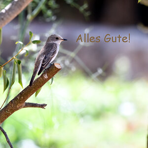 Beutelgruß.jpg