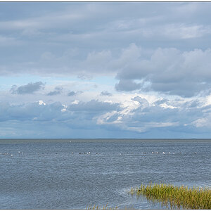 407 Sylt – Spaziergang an der Wattseite in Keitum V