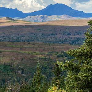 retouched 4822-4823_Ausschnitt.jpg
