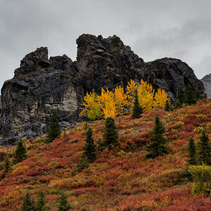 Z72_2039_AuroraHDR2019-edit.jpg