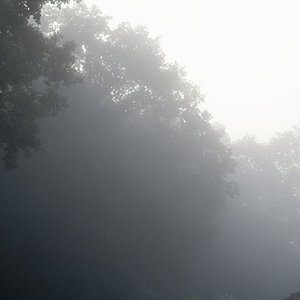 Morgennebel.jpg