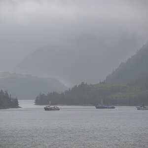Z9A_4413-NEF_DxO_DeepPRIME.jpg