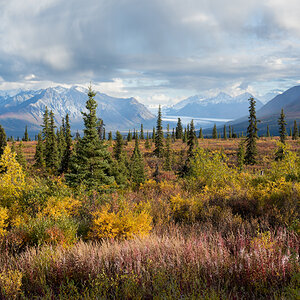retouched 2316-2317.jpg