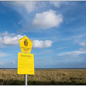 427 Sylt – Spaziergang in der Braderuper Heide II