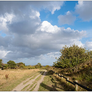 430 Sylt – Spaziergang in der Braderuper Heide V