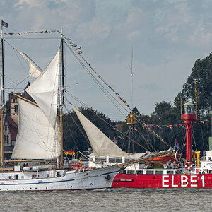 F80_5444-.JPG