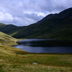 C2C_DSC_0871.jpg