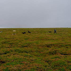 C2C_DSC_1011.jpg