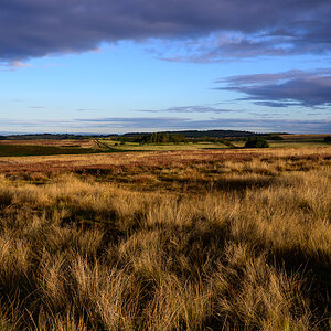 C2C_DSC_1186.jpg