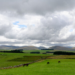 C2C_DSC_0911.jpg