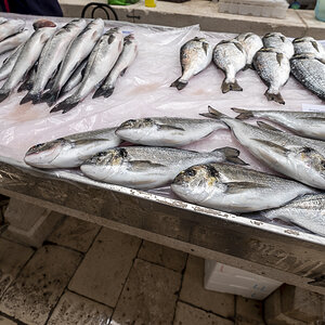 Fischmarkt Split1.jpg