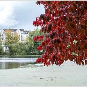 435 Herbstliche Stimmung im Schrevenpark II