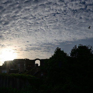 C2C_DSC_1108.jpg