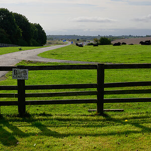 C2C_DSC_1122.jpg