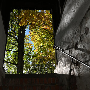 Herbstfarben