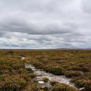 C2C_DSC_1295.jpg