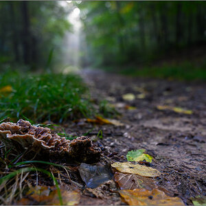 DZ7_9171-2.jpg