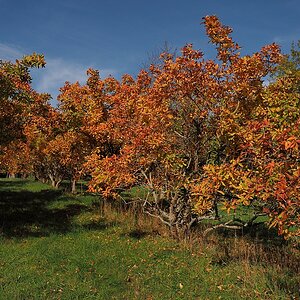 PA171716a_klein.jpg