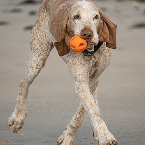 Ball-ett