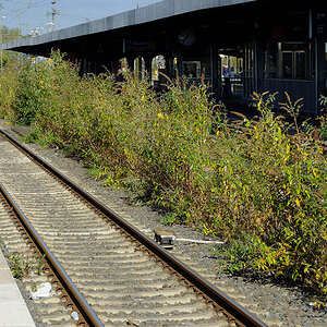 DSCF3458PAxl.jpg