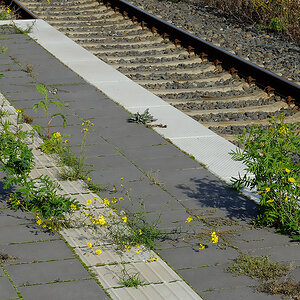 DSCF3425Pxl.jpg