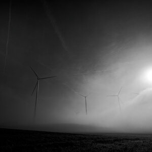Z62_9265.jpg