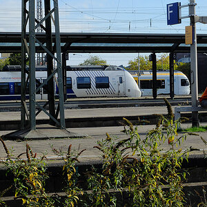 DSCF3455Pxl.jpg