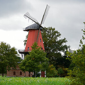 811_8323t0l20s50p1.jpg