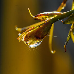 OF2_60397.jpg