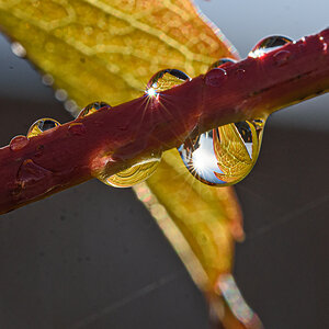 OF2_60405.jpg