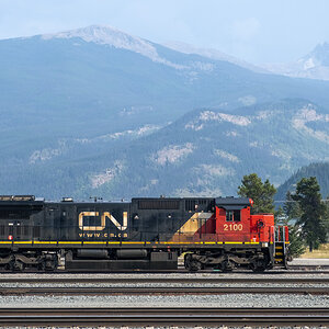AA048464-1200.jpg
