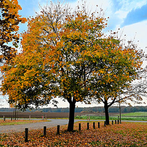DSC_5918.jpg