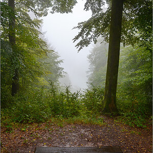 DZ7_9023.jpg