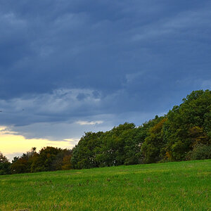 Z50_9674.JPG