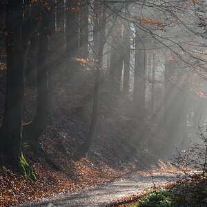 DSC_1797n.JPG