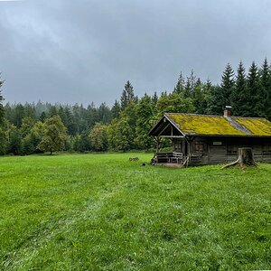 Hütte im Schwarzwald bei Bad Herrenalb.jpg