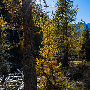 Südtirol Oktober-2628.jpg