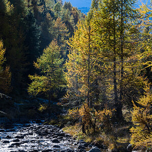 Südtirol Oktober-2642.jpg