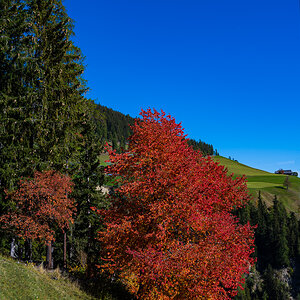Südtirol Oktober-2652.jpg