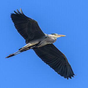 OF5_25903.jpg