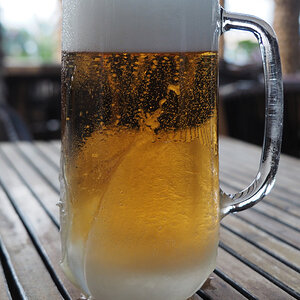 Bier, gefroren.jpg