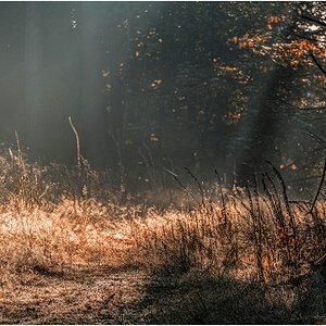 comp_VG_500_6235-Bearbeitet.jpg