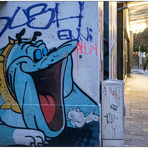 482 Graffiti – Spike