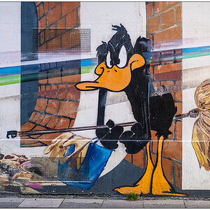 484 Graffiti – Studio Kino